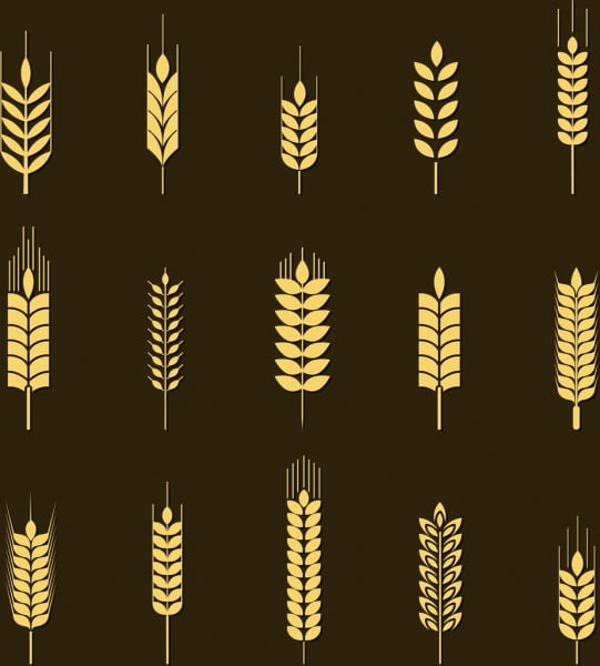 [ai] Barley background yellow icons isolation Free vector 2.86MB
