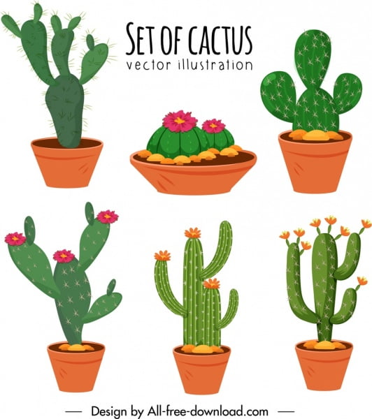 [ai] Cactus pots icons colorful classical design Free vector 4.98MB