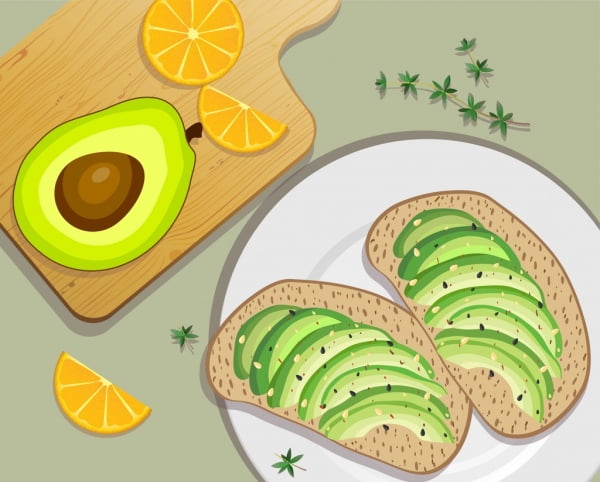 [ai] Organic food background avocado orange bread icons Free vector 4.45MB