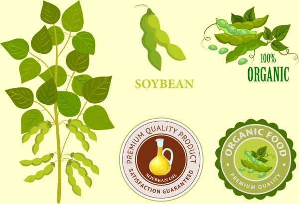 [ai] Soybean products identity sets tree seal logotypes icons Free vector 2.69MB