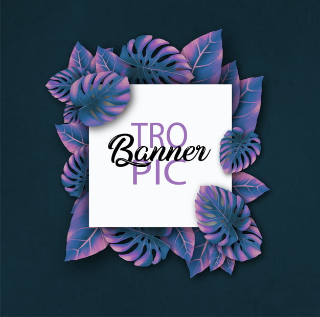 [ai] Tropic banner with monstera leaves Free Vector