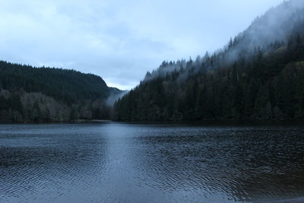 [jpeg] Autumn daytime environment fog forest lake landscape Free stock photos 1.13MB