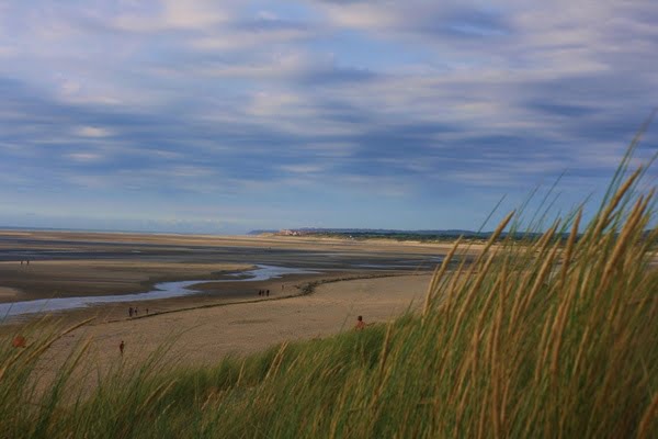 [jpeg] Beach cloud coast distance dunes field grass Free stock photos 593.23KB