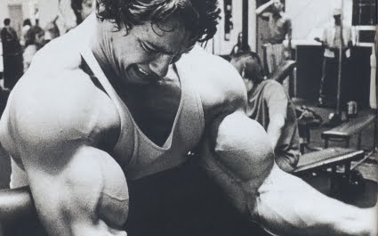 [jpeg] Bodybuilder Arnold Schwarzenegger Wallpapers