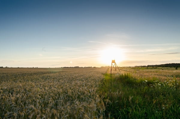 [jpeg] Corn farm field grass grassland horizon landscape Free stock photos 3.33MB