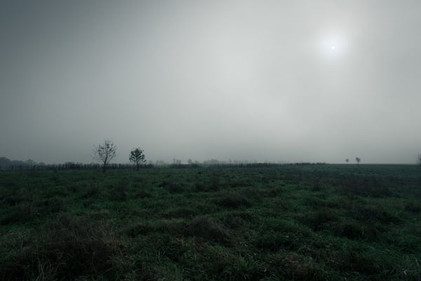 [jpeg] Environment field fog forest grass haze horizon Free stock photos 4.57MB