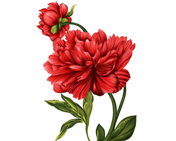 [psd] Digital flowerflower textileflowers for digital Free psd 2.69MB