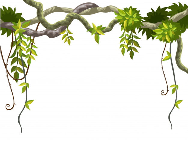 [ai] Frame of liana branches and tropical leaves. Free Vector
