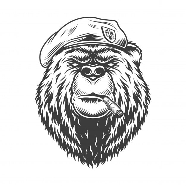 [ai] Navy seal bear head in beret Free Vector