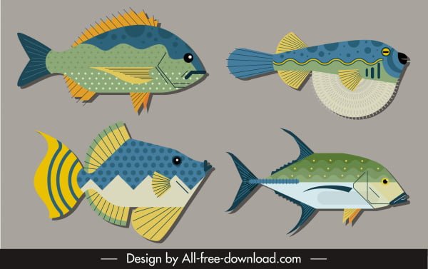 [ai] Fish species icons colorful flat sketch Free vector 2.70MB