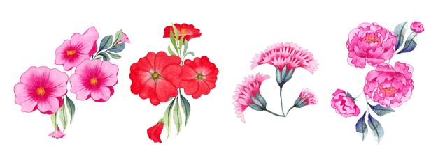 [ai] Hand drawn watercolor floral art set Free Vector