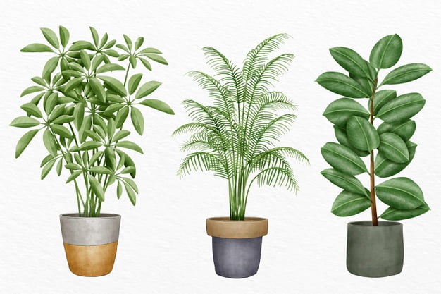 [ai] Hand painted watercolor houseplant collection Free Vector