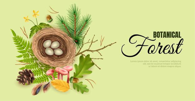 [ai] Realistic botanical forest horizontal banner with editable ornate text and birds nest with eggs and leaf images vector illustration Free Vector