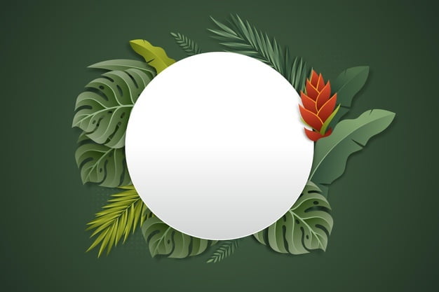 [ai] Realistic tropical summer blank banner Free Vector