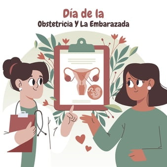 [ai] Dia internacional de la obstetricia y la embarazada illustration Free Vector